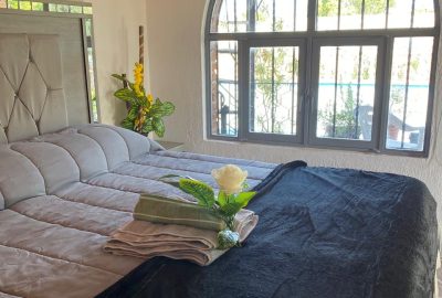 1a8047ee-c541-4b99-9bb1-e129e9189a01 1a8047ee-c541-4b99-9bb1-e129e9189a01